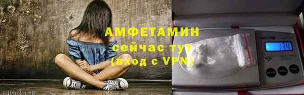 твердый Михайлов