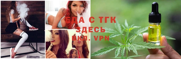 твердый Михайлов