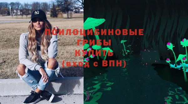 ГАЛЛЮЦИНОГЕННЫЕ ГРИБЫ Медногорск