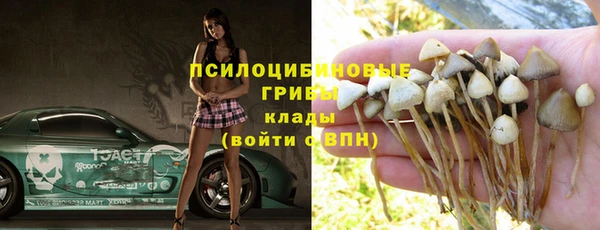 твердый Михайлов