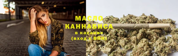 твердый Михайлов