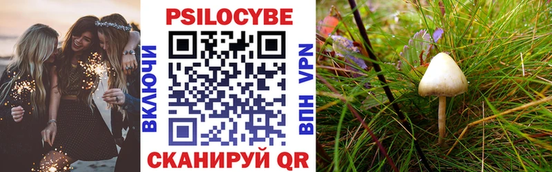 Псилоцибиновые грибы Psilocybe  где купить наркоту  Кедровый 
