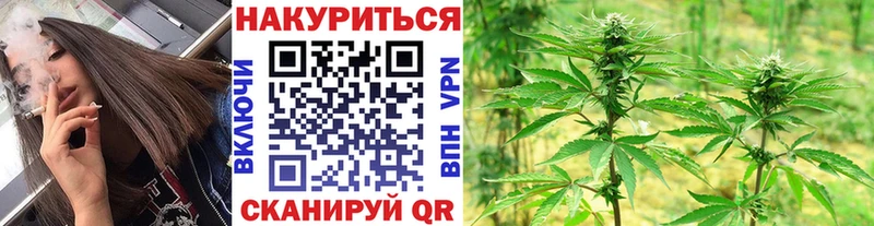 Конопля Ganja  Кедровый 